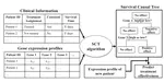 Mining heterogeneous causal effects for personalized cancer treatment